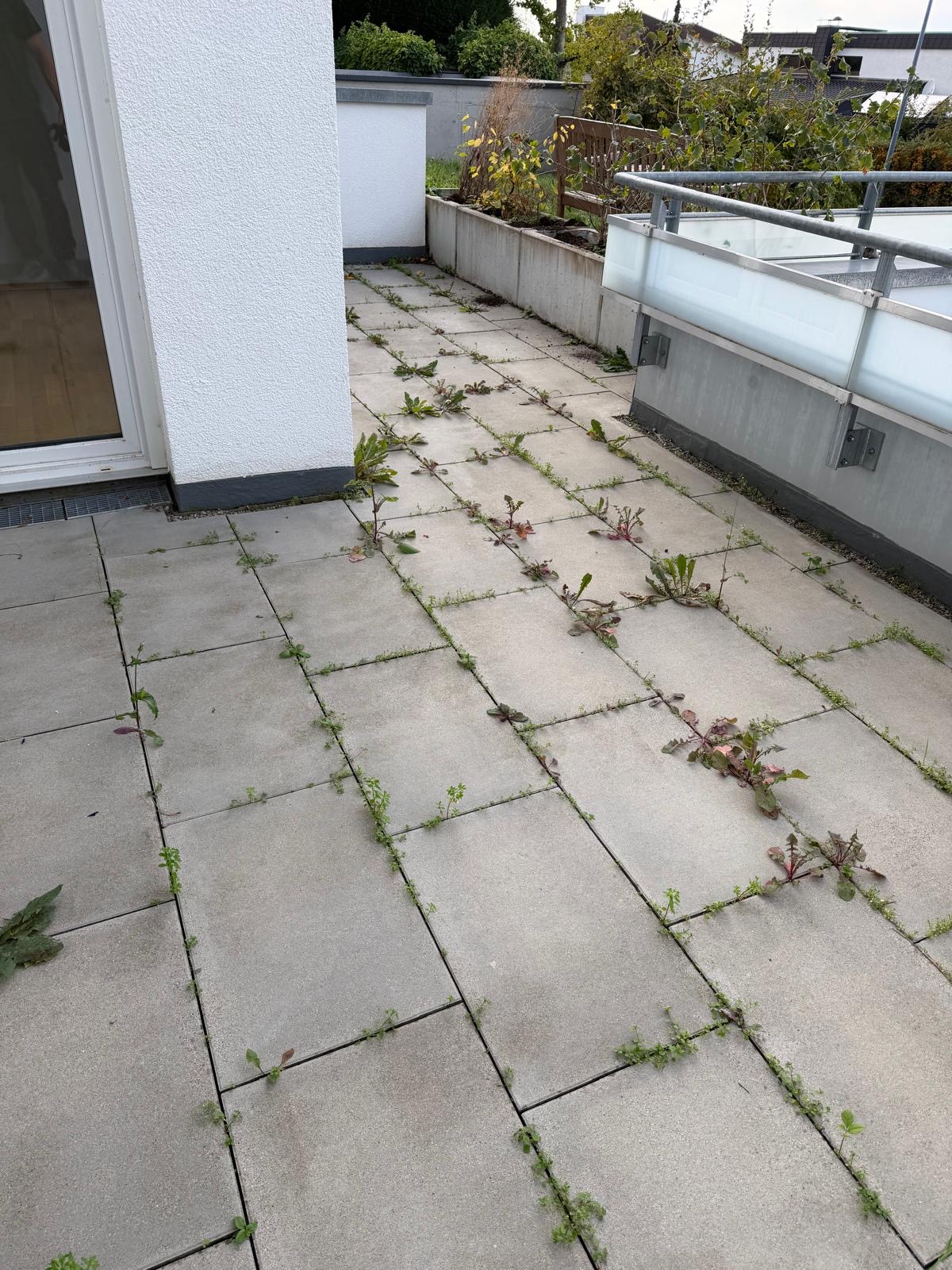 Vorher: Terrasse mit Unkraut und Löwenzahn in allen Plattenfugen