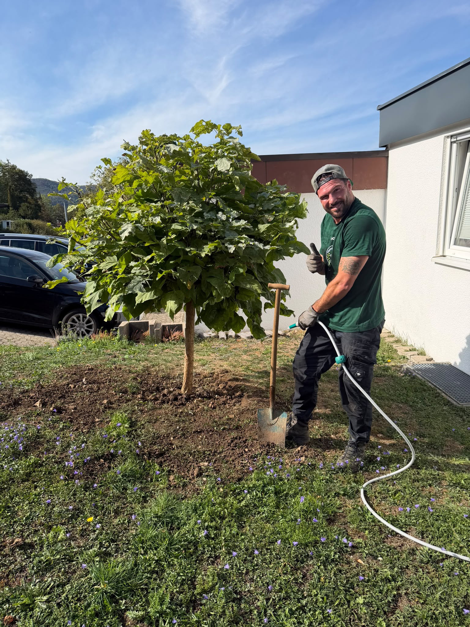 Nachher: Jochen gießt den umgesetzten Kugelbaum an seinem neuen Platz im Garten an und zeigt den Daumen nach oben